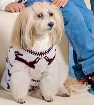 SUETER  BLANCO MAGIA INVERNAL